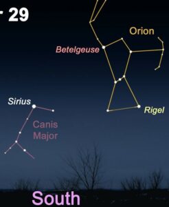 Orion and Sirius in the Sky in December
